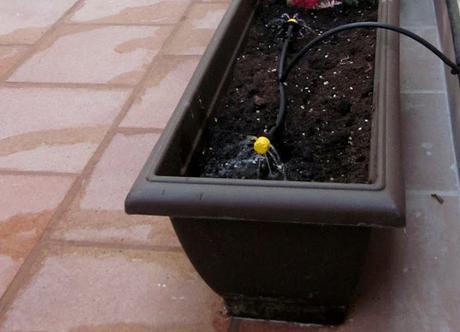 LA CASA DEL AÑO - NUESTRA TERRAZA