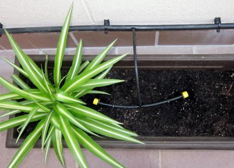 LA CASA DEL AÑO - NUESTRA TERRAZA