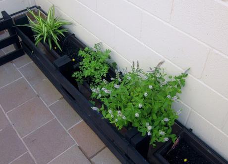 LA CASA DEL AÑO - NUESTRA TERRAZA