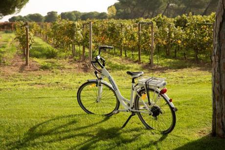 Salir de la ciudad y perderse entre viñedos, plan de primavera en la Ribera del Duero