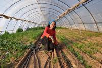 Los Portales: soñando realidades