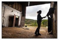 Los Portales: soñando realidades