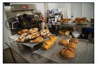 Los Portales: soñando realidades