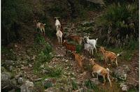 Los Portales: soñando realidades