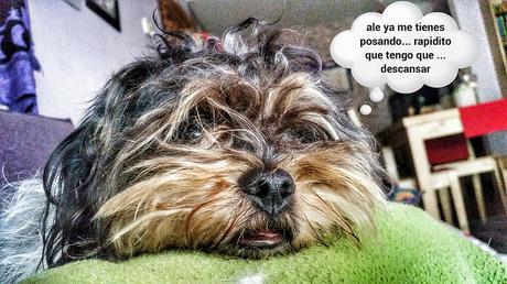 estamos tan agustito