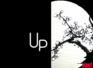 Wrap-Up Marzo/Abril/Mayo Ersla