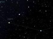 Lacerta, lagarto cielo