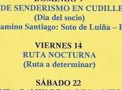 Verano 2015