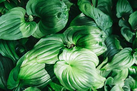 Vineyard-San_Francisco-US_101_Route-Orange_Dress-Polo_Ralph_Lauren-Outfit-Collage_On_The_Road-