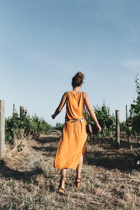 Vineyard-San_Francisco-US_101_Route-Orange_Dress-Polo_Ralph_Lauren-Outfit-Collage_On_The_Road-33