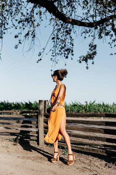 Vineyard-San_Francisco-US_101_Route-Orange_Dress-Polo_Ralph_Lauren-Outfit-Collage_On_The_Road-20