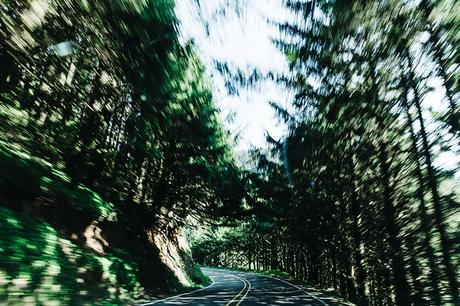 Vineyard-San_Francisco-US_101_Route-Orange_Dress-Polo_Ralph_Lauren-Outfit-Collage_On_The_Road-3