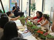 también quiero huerto urbano para feliz