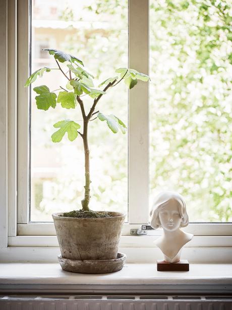 salón fresco y veraniego a la nórdica plantas para refrescar el ambiente interiores plantas flores decoración primavera verano decoración en blaco cambio de armario en casa blog decoración nórdica blog decoracion interiores 