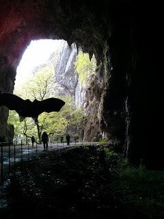 Dragones y Mazmorras. Eslovenia. Dragones y Mazmorras. Eslovenia.