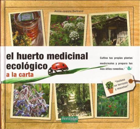 Crea un huerto urbano y cuida tu salud con las plantas medicinales