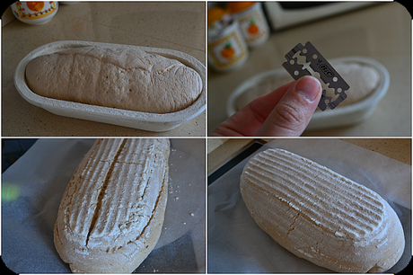 Pan con harina de Tritordeum