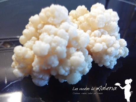 Kéfir: microorganismos con propiedades nutricionales