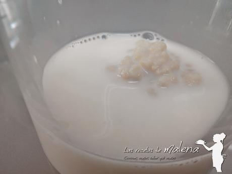 Kéfir: microorganismos con propiedades nutricionales