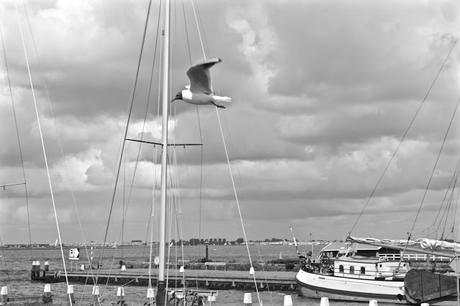 VOLENDAM Y MARKEN: ALMA MARINERA HOLANDESA