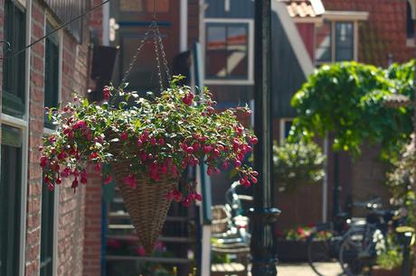 VOLENDAM Y MARKEN: ALMA MARINERA HOLANDESA