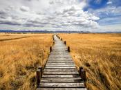 efectividad personal camino