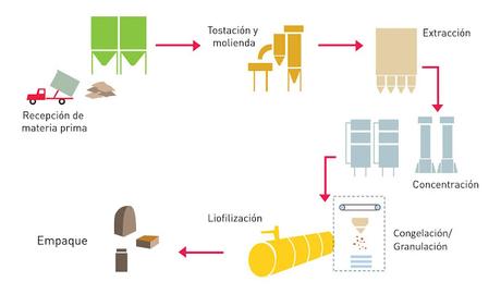 Cómo se hace... el café