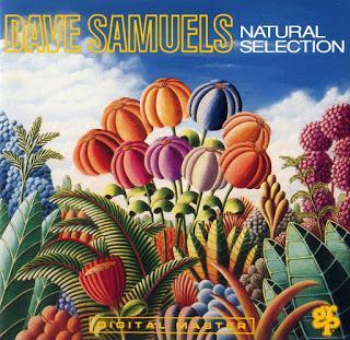 Dave Samuels - Natural Selection