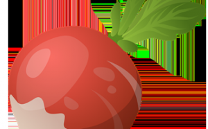 Remedio natural para la cistitis con rábano