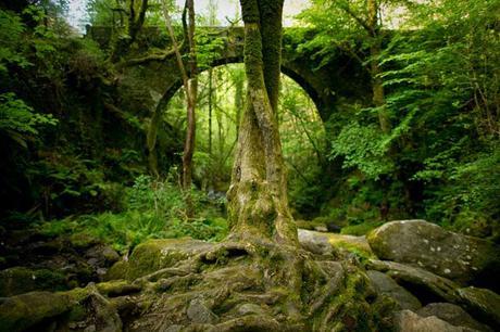 5 Paraísos naturales en Galicia