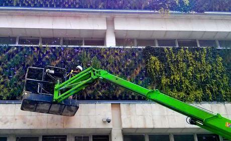 Mantenimiento en jardín vertical de Lucena