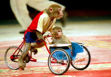 ¡Que cunda el ejemplo!