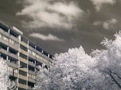 Video Maccabees para 'Something Like Happiness'