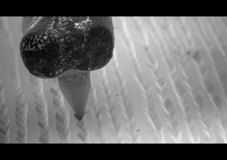 Mira como se ve una aguja al pasar por un disco de acetato