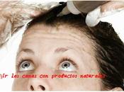 Cómo teñir canas productos naturales