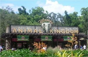 Orlando (VI): Animal Kingdom