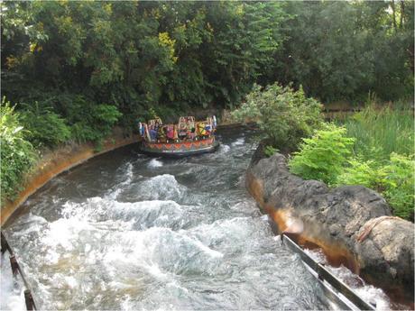 Orlando (VI): Animal Kingdom