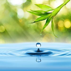 fluir y aprender a fluir