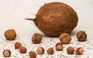 Aceite de coco para los arañazos