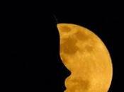 Banda Sonora PlayList #LaVidentDeLaLlunaPlena