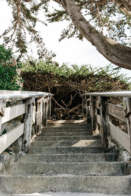 Carmel_By_The_Sea-Collage_On_The_Road-Lace_Dress-Yellow-Beach_outfit-Collage_Vintage-2