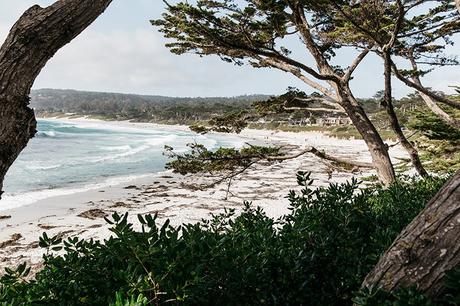 Carmel_By_The_Sea-Collage_On_The_Road-Lace_Dress-Yellow-Beach_outfit-Collage_Vintage-