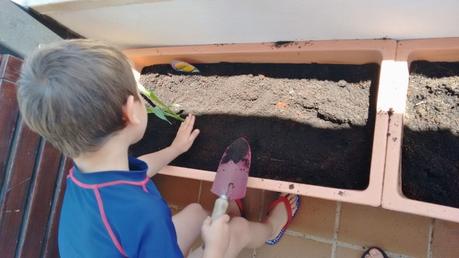 huerto urbano niños - montessori en casa