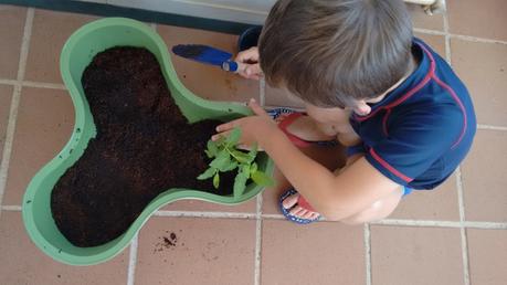 huerto urbano niños - montessori en casa
