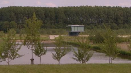 Proyecto de Arquitectura Residencial que recupera un campo Deforestado reforestacion4