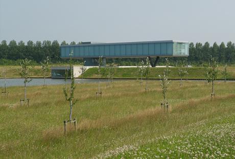 Proyecto de Arquitectura Residencial que recupera un campo Deforestado reforestacion2
