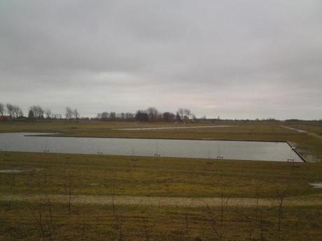 Proyecto de Arquitectura Residencial que recupera un campo Deforestado campo original