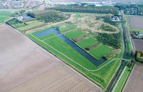 Proyecto de Arquitectura Residencial que recupera un campo Deforestado reforestacion