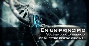 Blog_EnUnPrincipioICAR