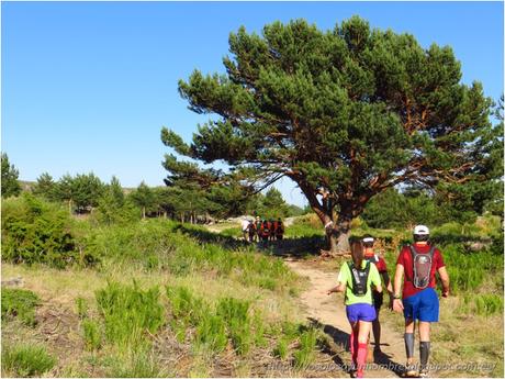 Oxfam Intermón Trailwalker Madrid 2015 – La carrera